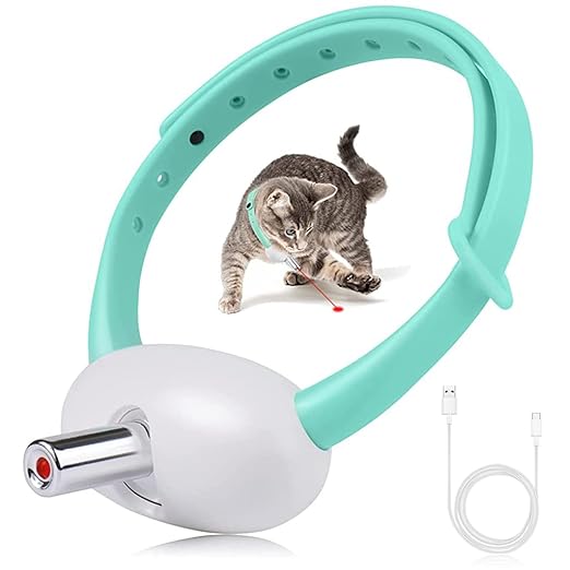 Cat Laser Collar Toy