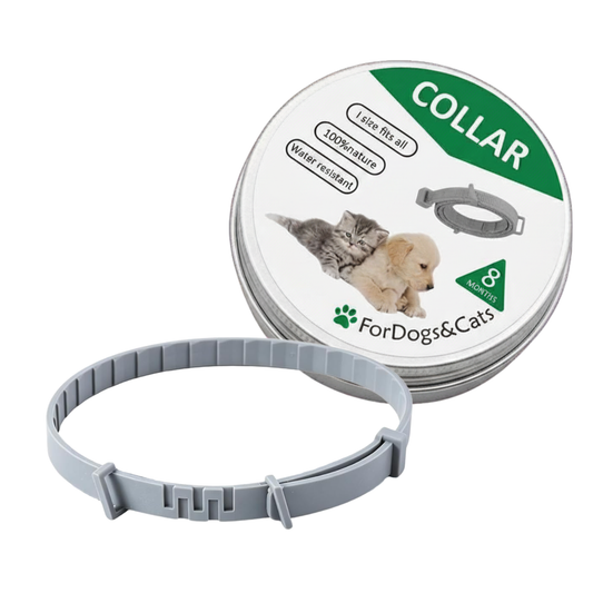 Meloive Flea and Tick Collar for Dogs