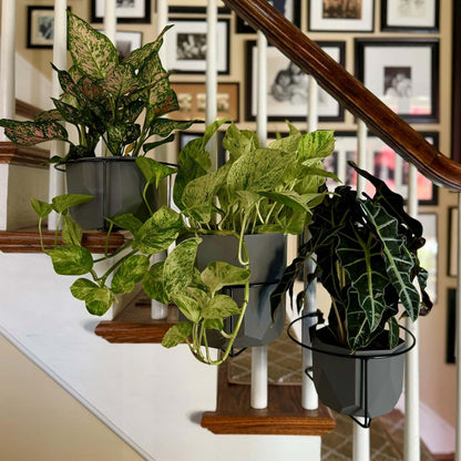 2PCS Floating Railing Plant Hanger