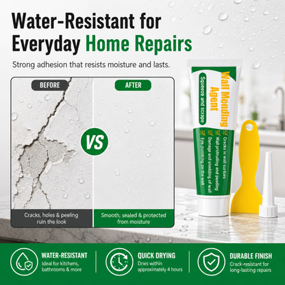 Wall Crack & Repair Paste