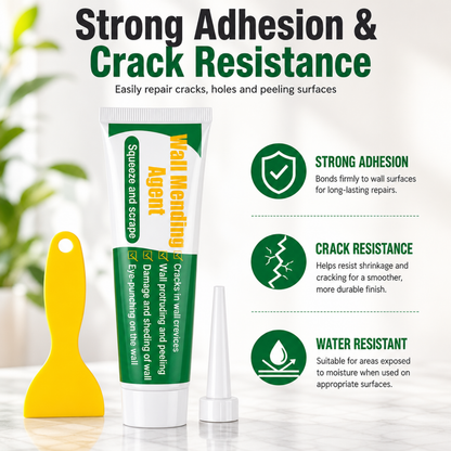 Wall Crack & Repair Paste